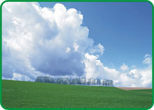 Environment Directive
