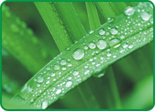 Environment Directive